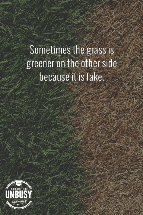 Sometimes the grass is greener on the other side because it's fake. So true! Finsta Quotes, Truth Hurts, Quotable Quotes, Happy Thoughts, Body Moisturizer, True Words, Memes Quotes, Great Quotes, Body Wash