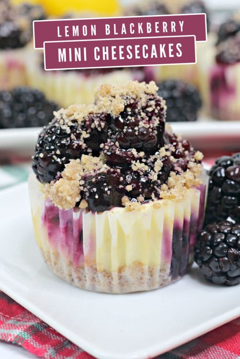 Easy Mini Cheesecakes, Blackberry Dessert, Blackberry Lemon, Mini Cheesecakes Easy, Delicious Cheesecake Recipes, Blackberry Cheesecake, Blackberry Recipes, Mini Dessert, Cheesecake Cupcakes