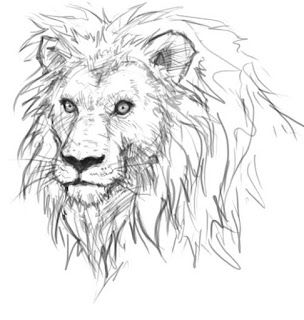 idrawgirls: How to draw lion Lion Head Drawing, Drawing Wolves, Draw Lion, Creatures Drawing, Ako Kresliť, Animal Creatures, Creativity Drawing, Drawing 101, Lion Sketch