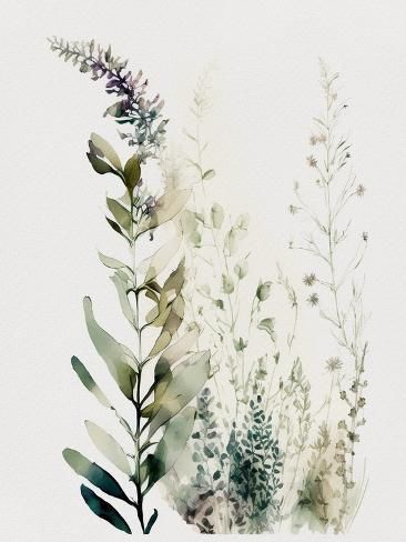 size: 12x9in Art Print: Wild Flowers Watercolor I by Lana Kristiansen : Watercolor Dried Flowers, Simple Watercolor Flowers, Watercolor Botanicals, Abstract Watercolor Landscape, Floral Watercolor Paintings, Watercolor Calligraphy, Sketchbook Illustration, Watercolour Flowers, Watercolor Tree