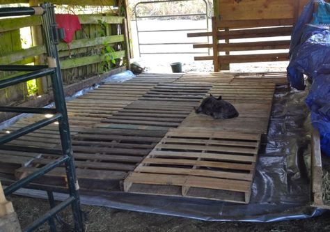 Storing Hay on Pallets in a Rainy Climate | Listen To Your Horse Hay Storage Shed Diy, Diy Hay Storage Ideas, Hay Barn Storage, Horse Dry Lots, Hay Storage Ideas, Rainy Climate, Stable Plans, Donkey Care, Horse Hacks