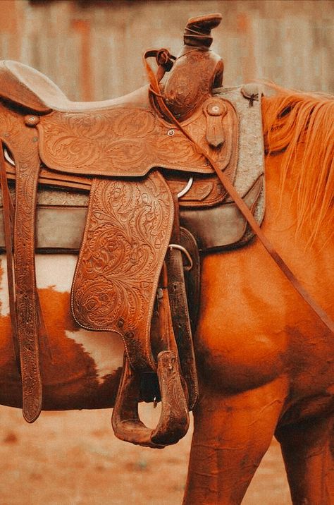 Western Wallpapers, Country Best Friends, Horse Backpack, Country Girl Life, Homestead Ideas, Western Saddles, Western Tack, Western Paintings, Western Horse Tack