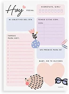 Charuca OD04 - Planificador diario, A5, color lovers : Amazon.es: Oficina y papelería Ballet Journal, Planner Diario, Personalized Planner, Custom Planner, Organized Life, Agenda Planner, Quotes Words, Bullet Journal School, Fav Quotes