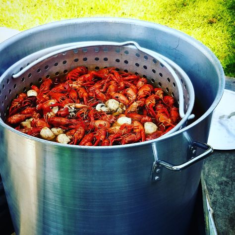 How to Choose the Right Pot for Your Crawfish Boil Louisiana Crawfish Boil Recipe, How To Boil Crawfish, Crawfish Boiler, Crawfish Boil Recipe, Buttery Corn, Crawfish Recipes, Cajun Crawfish, Louisiana Crawfish, Country Boil