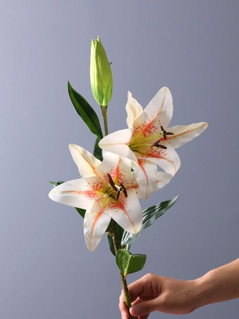 Real Touch Lily Long Stem With Bud and Leaves, Artificial Flower Craft, Realistic Bloom, Home Wedding Floral, Party Arrangement Centerpiece - Etsy Lily Flower Wedding, Wedding Home Decoration, Decorative Flowers, Flower Wedding, Lily Flower, Home Wedding, Flower Crafts, Flower Decorations, Artificial Flowers