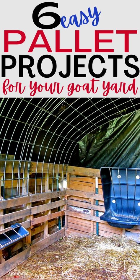 Simple Pallet Projects, Goat Yard, Easy Pallet Projects, Goat Fence, Goat Playground, Goat Shelter, Goat House, Raising Farm Animals, Goat Barn