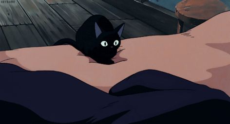 Kikis Delivery Service Gif, Kiki's Delivery Service Cat, Kikis Delivery Service, Service Cat, Anime Fanfiction, Kiki Delivery, Cat Anime, Kiki's Delivery Service, Banner Gif