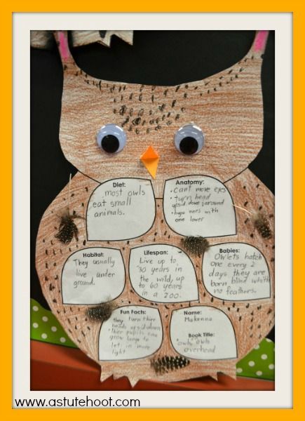 Owl Lesson Plans, The Owl Who Was Afraid Of The Dark, Owl Unit Study, Owl Treats, Owl Activities, Owl Babies, Owl Facts, Owl Theme Classroom, Owl Classroom