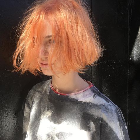 See this Instagram photo by @yukihaga • 345 likes Orange Roots Blonde Hair, Pale Orange Hair, Pastel Orange Hair, Blorange Hair, Cheveux Oranges, Hair Color Orange, Dyed Hair Pastel, Peach Hair, Orange Light