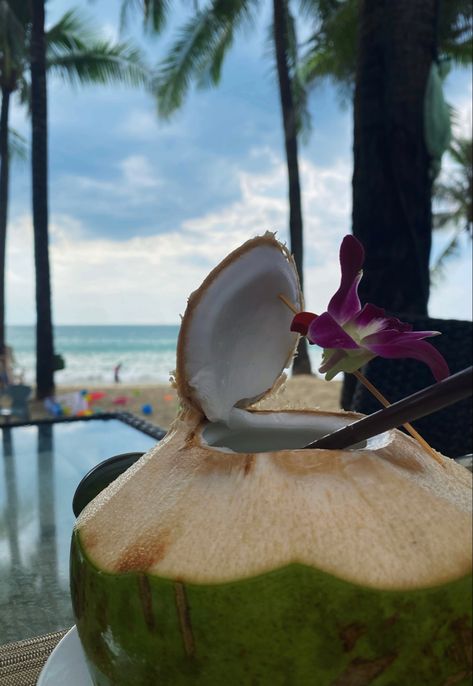 drinking coconut water at the beach in thailand, pretty, aesthetic Moana Lifestyle, Coconut Water Aesthetic, Thailand Vacation, Thailand Photos, Water Aesthetic, Summer Mood, Aesthetic Background, Summer 24, Summer Dream