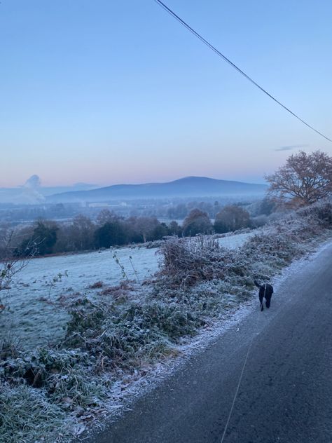 Winter Dog Walk Aesthetic, Dog Walker Aesthetic, Grey November, Walker Aesthetic, Snowy Aesthetic, Snow Vibes, Walking Dog, F1 Driver, Bah Humbug