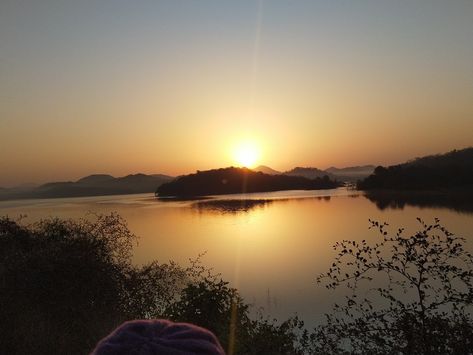 At gir forest junagadh Gujarat Gir Forest, Morning Rose, Forest, Photography, Quick Saves