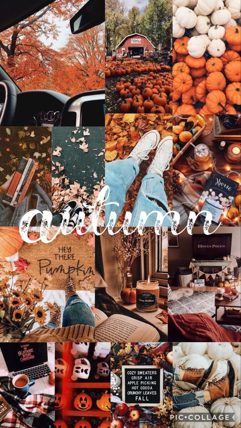 October Collage Wallpaper, Fall Asethic Wallpaper, Fall Collage Wallpaper, Fall Wallpaper Iphone, Halloween Desktop Wallpaper, Autumn Phone Wallpaper, October Wallpaper, Halloween Wallpaper Iphone Backgrounds, Pumpkin Wallpaper