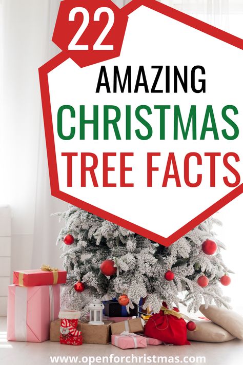 History Of The Christmas Tree, Christmas Trees 2022, Christmas Tree Story, Christmas Facts, Tree Facts, Holiday Trivia, Best Christmas Trees, Best Artificial Christmas Trees, Holiday Facts