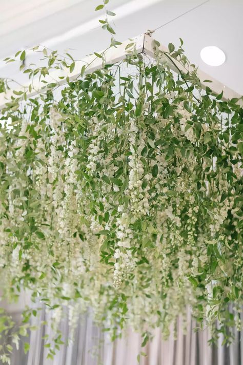 Wisteria Trellis, Wedding Trellis, Wisteria Wedding, Greenery Wedding Centerpieces, Art Museum Wedding, Lights Wedding Decor, White Wisteria, Asian Art Museum, Floral Wedding Decorations