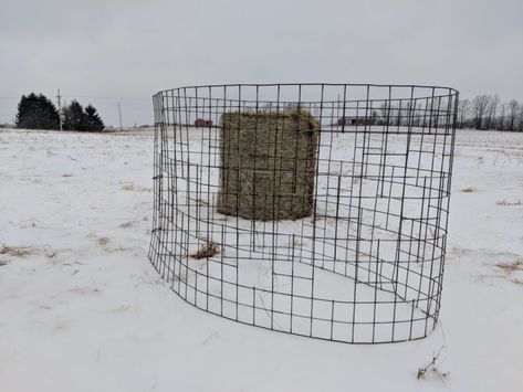 Diy Cow Hay Feeder, Cattle Panel Hay Feeder, Hay Ring Ideas, Cow Hay Feeder, Diy Round Bale Feeder, Round Bale Feeder Diy, Diy Hay Feeder For Horses, Round Bale Hay Feeder, Cow Feeder