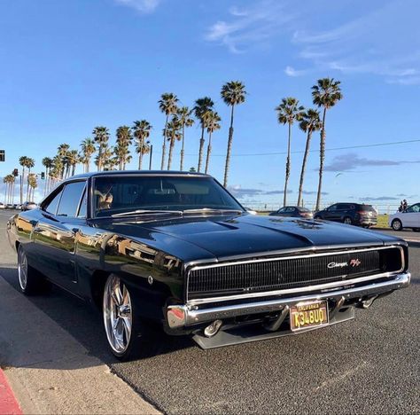 Love this ‘68 Dodge Charger. A cruise to the So. Cal beach. How would you rate this Dodge Charger from a scale of 1 to 10? #mopar #hemi #dodge #dodgechargerclassiccars #dodgeclassiccars #v8 #carstagram #coolcar #charger #americanmusclecarsdodge #fastcar #oldcar #oldschool 68 Dodge Charger, Dodge Charger 68, Daytona Car, Dodge Charger Hemi, Dodge Charger 1970, 1969 Dodge Charger Daytona, American Muscle Cars Dodge, 1971 Dodge Charger, 69 Dodge Charger