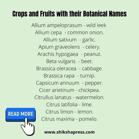 List of Important Scientific Names of Plants, Fruits & Vegetables, 60 + SCIENTIFIC NAMES OF PLANTS, FRUITS AND VEGETABLES FOR EXAMS PREPARATION Scientific Names List, Scientific Names Of Plants, Children's Day Message, Names Of Plants, Botanical Names, Name Of Vegetables, Exams Preparation, Educational Website, Capsicum Annuum