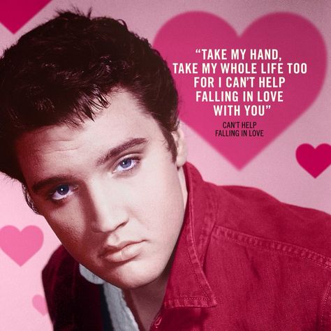 Elvis Presley valentine card Elvis Quotes, Elvis Presley Wallpaper, Elvis Presley Memories, King Creole, Cant Stop Loving You, Elvis Presley Images, Burning Love, Cant Help Falling In Love, Elvis Presley Photos