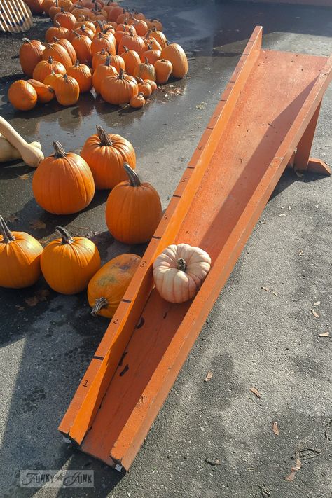 Pumpkin Patch Food Ideas, Pumpkin Patch Business, Pumpkin Patch Farm, Pumpkin Patch Party, Pumpkin Stand, Produce Displays, Pumpkin Stands, Pumpkin Festival, Farm Day