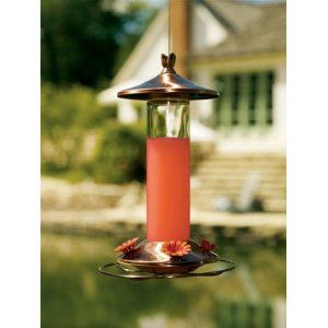 hummingbird feeder. plain, but classic and inexpensive