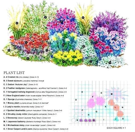 Partial Shade Flowers, Perennials Low Maintenance, Perennial Garden Design, Perennial Garden Plans, Shade Garden Design, Flower Garden Plans, Long Blooming Perennials, Garden Flowers Perennials, Shade Shrubs