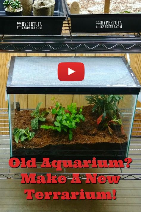 I have decided on converting the aquarium to a terrarium. Makes sense to me. I have quite a few plants that need a bit of a humid atmosphere. It worked.  It can also work for a "desert" terrarium for succulents. #terrarium #houseplants #succulents #diy Terrarium Aquarium Diy, Aquarium Planter Ideas, Fish Tank Plant Terrarium, Closed Terrarium Ideas Diy, Diy Aquarium Ideas, Big Terrarium, Self Sustaining Terrarium, Desert Terrarium, Succulents Terrarium