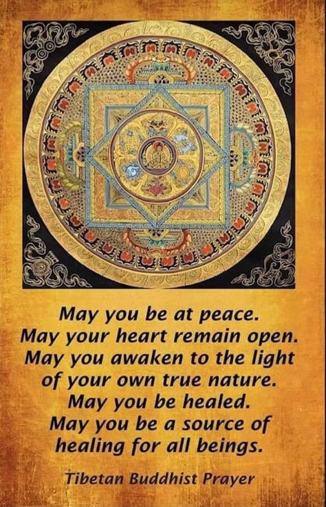 Ani Sangye 💛⚖💛 on Twitter: "… " Meaning Of Diwali, The Meaning Of Love, Diwali Quotes, Buddha Quotes Life, Buddhist Wisdom, Magical Nature, Siddhārtha Gautama, Buddhist Prayer, Alternative Healing