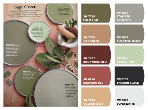 SAGE GREEN - ColorSnap by Sherwin-Williams Safe Green Complimentary Colors, Green Kitchen Colour Palettes, Sage Green Color Scheme Kitchens, Sage Green Complimentary Colors Bedroom, Sage Green Color Palette Living Room, Sage Green Complimentary Colors, Green Color Palette Living Room, Garage Door Paint, Kitchen Color Palettes