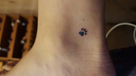 Tattoo Ankle, Tattoo Cute, Super Tattoo, Pawprint Tattoo, Small Tats, Paw Tattoo, Cat Tat, Bridal Mehendi, Small Girl Tattoos