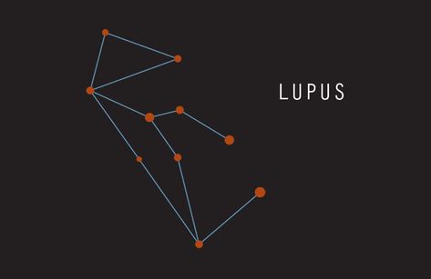 Lupus the wolf Wolf Constellation, Constellation Project, But Tattoos, Zodiac Constellation Art, Libra Constellation Tattoo, Aries Constellation Tattoo, Purple Tattoos, Milky Way Stars, Libra Art