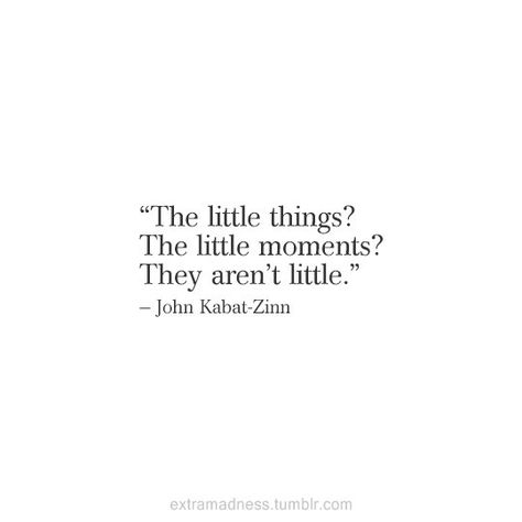 The little things? The little moments? They aren't little. -Jon Kabat-Zinn Quote #quote #quotes #inspiration #quoteoftheday Life Messages, Messages Quotes, More Quotes, Life Quotes Love, Entrepreneur Business, Visual Statements, Wonderful Words, The Little Things, A Quote