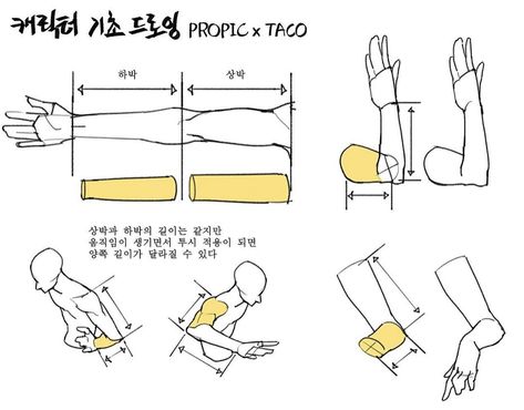 The length of the upper and lower arm is the same but when movements and perspectives are applied the lengths may change. Taco Anatomy, Arm Perspective, Anatomy Basics, Arm Poses, Taco Drawing, Arm Anatomy, Movement Drawing, Arm Drawing, Perspective Drawing Lessons