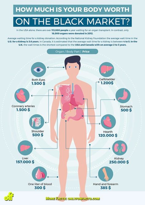 Kidney Donation, Infographic Examples, Human Body Organs, Organ Transplant, Human Body Anatomy, Human Body Parts, Preventative Health, Infographic Marketing, Body Organs