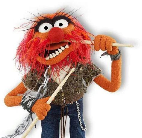 Animal Animal Muppet, Muppets Most Wanted, Gretsch Drums, Of Monsters And Men, Old Best Friends, Disney Board, Blank Background, Arcade Fire, Fraggle Rock