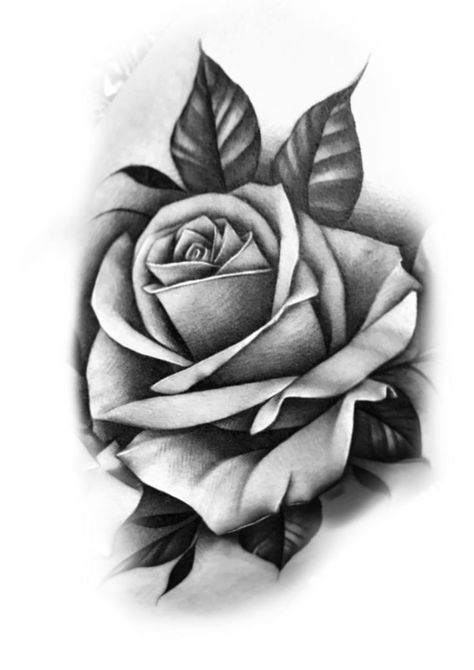 Rose Coverup Tattoo Design, Curved Rose Tattoo Design, Rosa Tattoo Designs, Black And Grey Rose Tattoo, Rose Tattoo Stencil, Realistic Flower Tattoo, Simple Rose Tattoo, Rosa Tattoo, Realistic Rose Tattoo