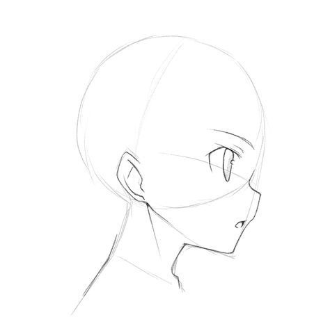 Draw Anime Face, Anime Side View, Side View Of Face, Draw Head, Side View Drawing, Drawing Anime Bodies, Anime Face Drawing, Head Anatomy, Base Anime