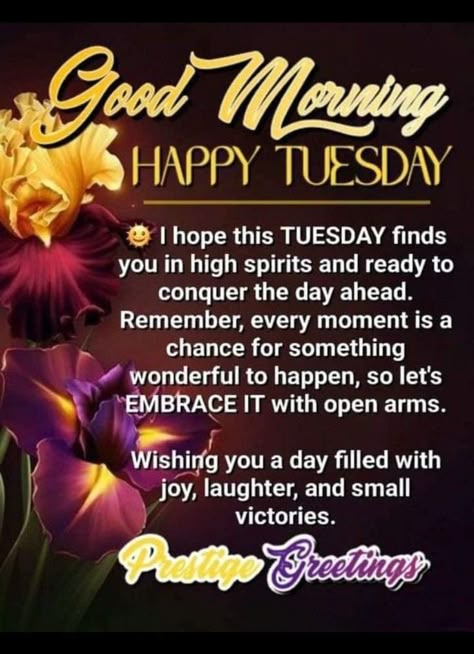 Morning Quotes Tuesday, Tuesday Morning Wishes, Tuesday Morning Quotes, Good Morning Saturday Wishes, Tuesday Wishes, Happy Tuesday Morning, Weekly Blessings, Tuesday Quotes Good Morning, Morning Tuesday