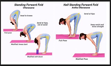 Yoga of the Heart: Modified Forward Fold. Modified Standing Forward Fold is a very simple Yoga posture that deeply releases stress and tension all along the back of the legs, the hamstrings and the lower back. Standing Forward Fold, Pilates Stretches, Forward Fold, Pose Yoga, Daily Yoga, Easy Yoga, Yoga Postures, Yoga Training, Yoga Asanas