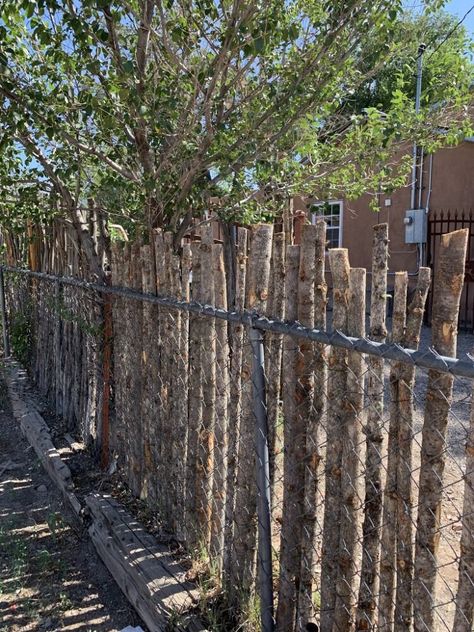 Bear Proof Fencing, Chainlink Fence Ideas, Chain Link Fence Ideas Cover Up, Coyote Fence, House Fencing, Landscaping Walls, Deer Fencing, Waldorf Classroom, Hello Santa