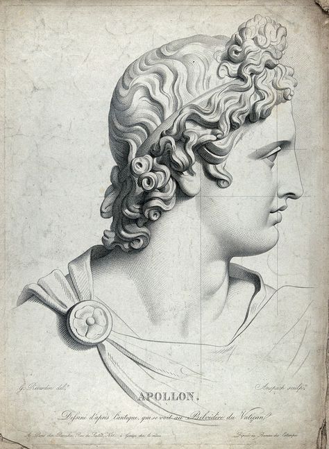 Head of the Apollo Belvedere. Stipple engraving by J.L. Anspach after G.F. Reverdin. | Wellcome Collection Apollo Costume, Apollo Symbol, Apollo Mythology, Apollo Tattoo, Apollo Art, Apollo God, Apollo Aesthetic, Apollo Statue, God Apollo