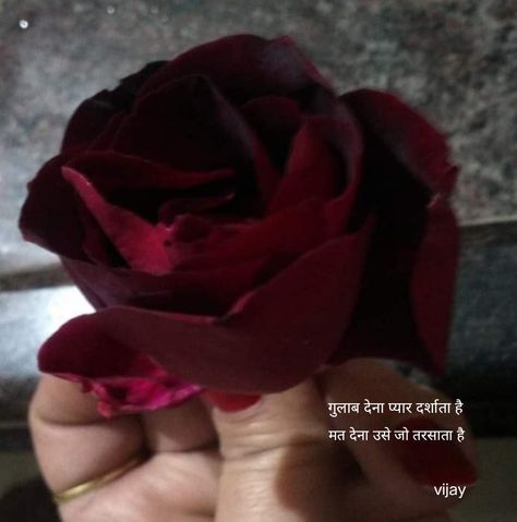 Rose Shayri Hindi, Love Shayri, Quick Saves