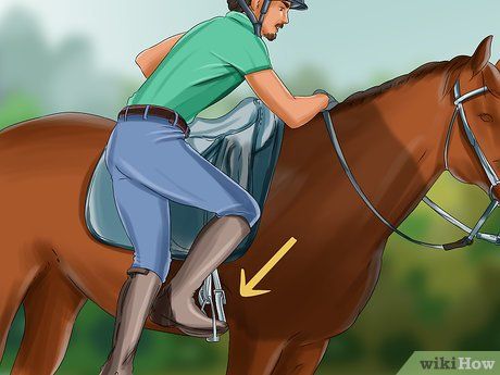 How to Mount a Horse: 13 Steps (with Pictures) - wikiHow How To Mount A Horse, How To Ride A Horse For Beginners, How To Sit The Canter Horse, Mounting A Horse, Owning A Horse For The First Time, Taking Care Of Horses For Beginners, Horse Exercises, Horse Info, Riding Lessons