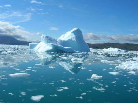 Students read an article about how scientists believe that the weather in 2016 shows that climate change is now a fact. Activities focus on reading, understanding and key climate change vocabulary. There are also speaking activities for students to share their opinions on the topic. Hydrogen Bonding, Climate Warming, Esl Lesson Plans, Esl Lessons, Sea Level Rise, Molecular Structure, Nature Water, Organic Chemistry, Personalized Learning