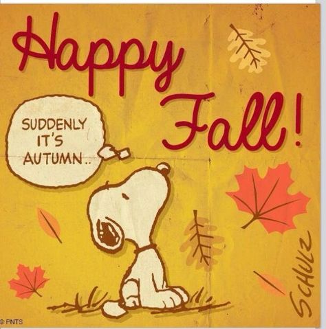 Happy Fall autumn fall happy autumn happy fall happy fall quotes Snoopy Fall, Hello Kitty Imagenes, Snoopy Dog, Snoopy Halloween, Snoopy Images, Peanuts Cartoon, Snoopy Quotes, Snoopy Love, Autumn Quotes