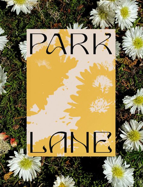 Mother Design updates Park Lane New York’s identity to shrug off the traditional luxury of “Billionaire’s Row” Park Lane Hotel, Mother Design, Mises En Page Design Graphique, Rock Face, Park Lane, Font Design, Identity Logo, Goa, Central Park