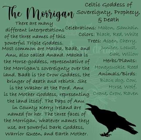 Morgana Goddess, Morrigan Aesthetic, Celtic Aesthetic, Morrigan Goddess, List Of Deities, Goddess Morrigan, Deity Work, Irish Blessing Quotes, Celtic Deities