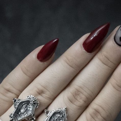 Federica Bianciardi on Instagram: "🥀My favorite jewelry of the time (I think for life) ✨ 
•
•
•
🥀Rings and Necklace *GIFTED by @petalsandpoison [15% Off: FEDERICA15]
•
•
•

#gothnails #vampireaesthetic #goth #vampire #gothic #darkaesthetic #gothicnails #victorianjewelry #stilettonails #gothgirl #gothaccessories #victoriangoth #gothaesthetic #darkacademia #vampirelife #gothhome #vampira #gothstyle #gothichome #darkaesthetic #gothaesthetic #gothicaesthetic #vampirenails #vampiregoth #victorianring #gothjewelry" Vampire Ring, Vampire Nails, Vampire Gothic, Goth Vampire, Goth Accessories, Vampire Goth, Gothic Nails, Goth Nails, Goth Home