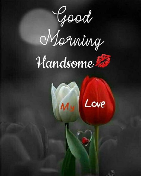 Good Morning For Girlfriend, Good Morning Husband Quotes, Good Morning Husband, Good Morning Sweetheart, Good Morning Handsome Quotes, Romantic Good Morning Messages, Good Morning Hug, Morning Handsome, Good Night I Love You