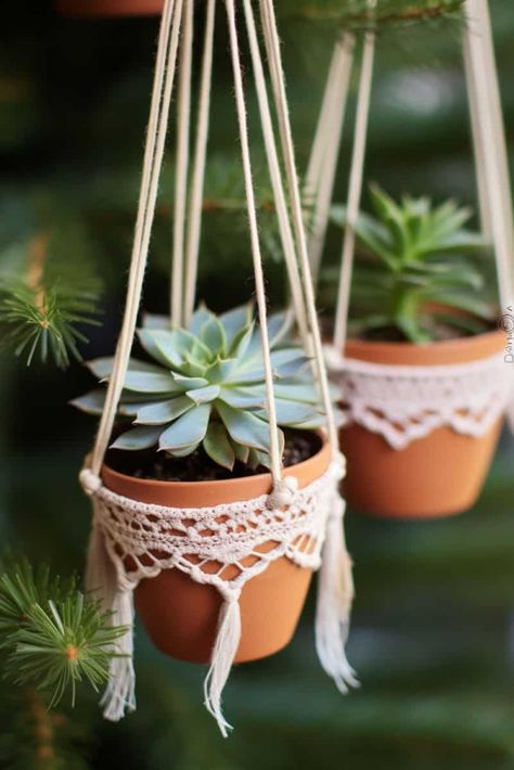 Wintery Succulents: Macramé Charmers Adorned with Evergreens Succulent Display Ideas, Succulent Candle Centerpiece, Clear Ornament Balls, Succulent Wedding Decor, Succulent Display, Yucca Plant, Gardening Gear, Holly Tree, Crabapple Tree